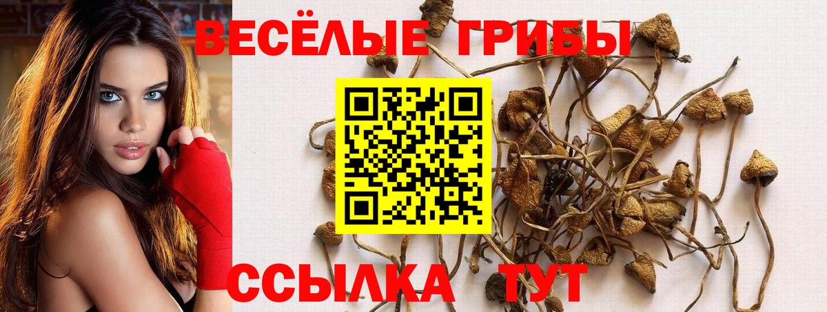 Красногорск  Псилоцибиновые грибы мухоморы  Вход с VPN  Псилоцибиновые грибы ЛСД 