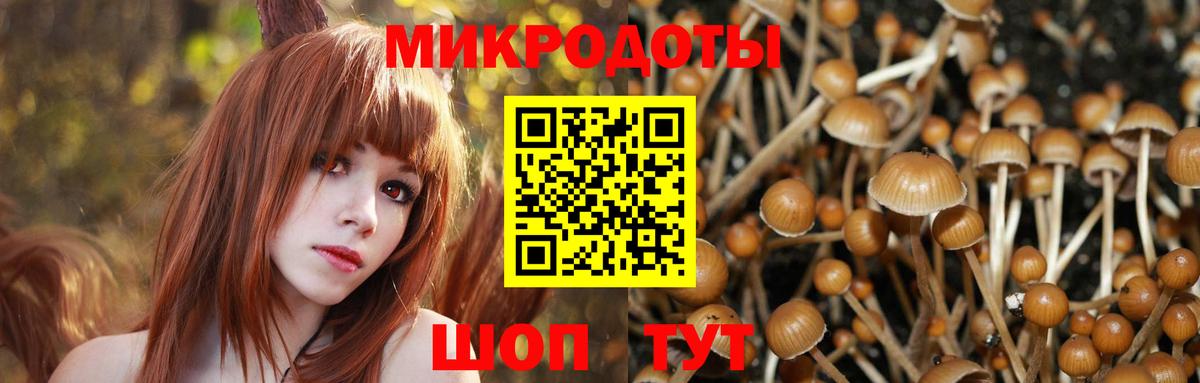 Псилоцибиновые грибы GOLDEN TEACHER Красногорск